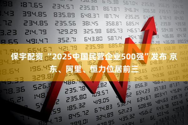 保宇配资 “2025中国民营企业500强”发布 京东、阿里、恒力位居前三