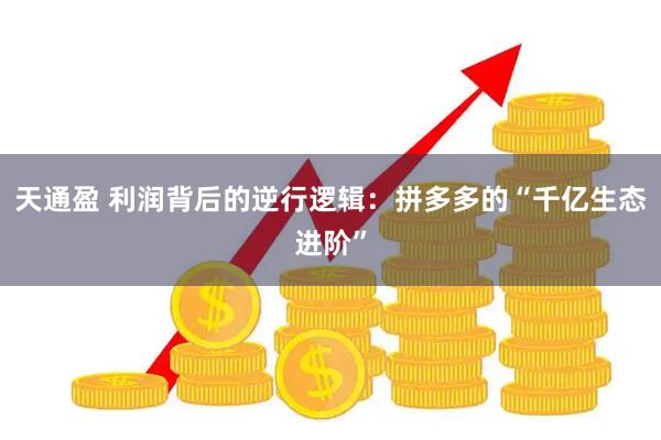 天通盈 利润背后的逆行逻辑：拼多多的“千亿生态进阶”