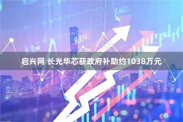 启兴网 长光华芯获政府补助约1038万元