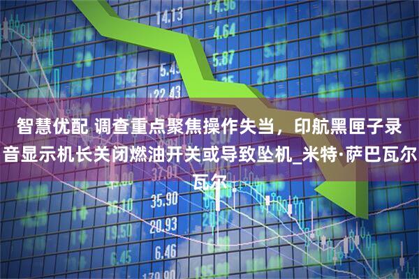 智慧优配 调查重点聚焦操作失当，印航黑匣子录音显示机长关闭燃油开关或导致坠机_米特·萨巴瓦尔